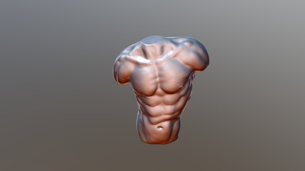 Anatomy study of the chest