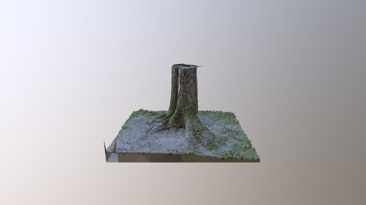 Tree Stump 3D Model