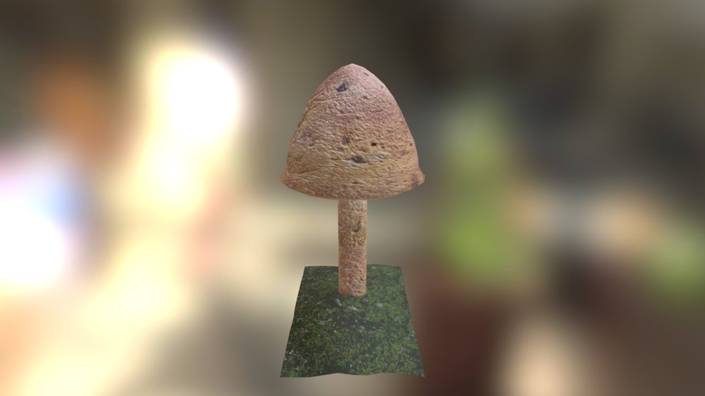 Mushroom 1