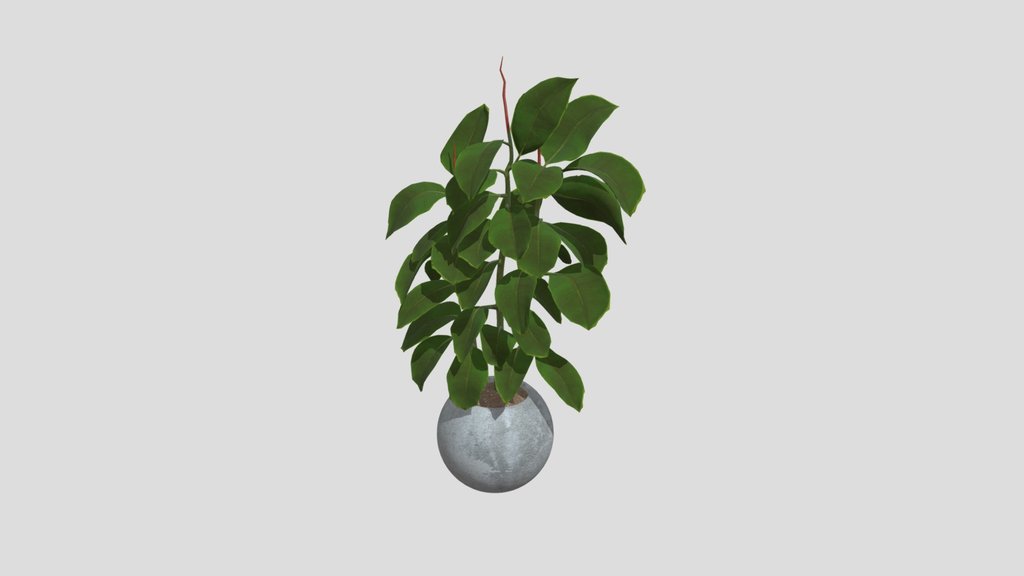 Plant