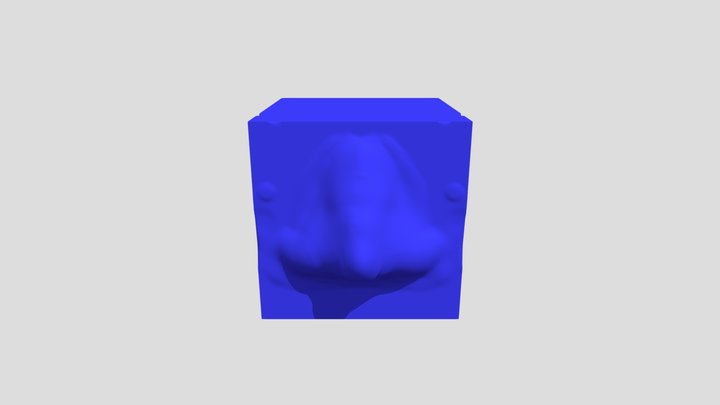 Anatomy Cube-001-Student Sculpting Exercise 3D Model