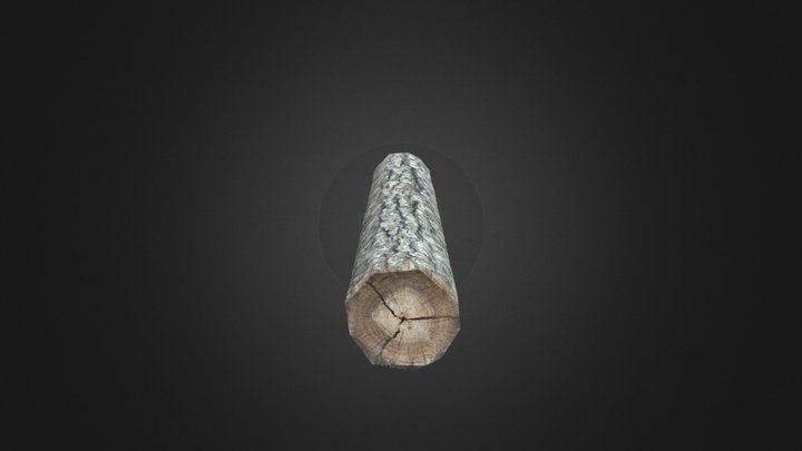 Log-001-lp 3D Model