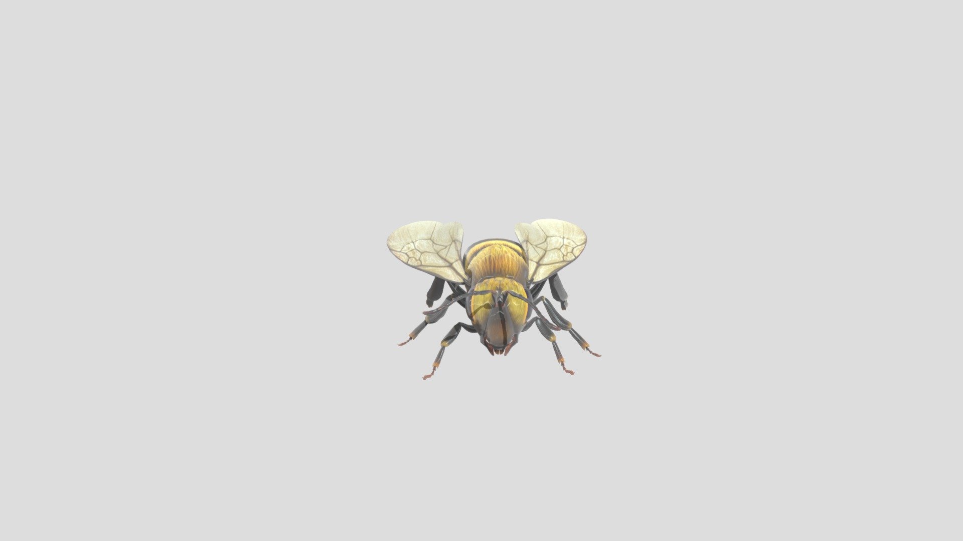 Bee
