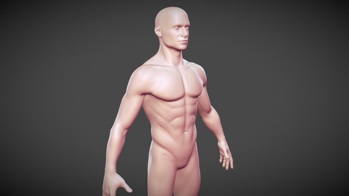 Realistic Male Base Mesh 3D Model