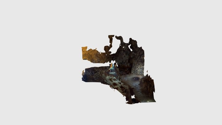 Cao Bang cave 2 3D Model
