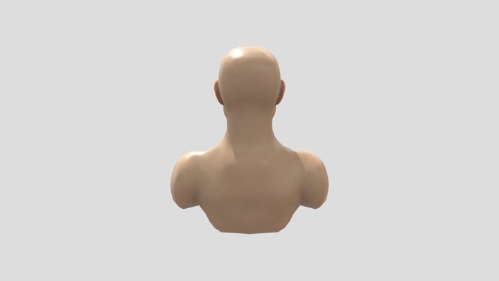 Male Head - 3D Model By Usmaan Ali 3D Model