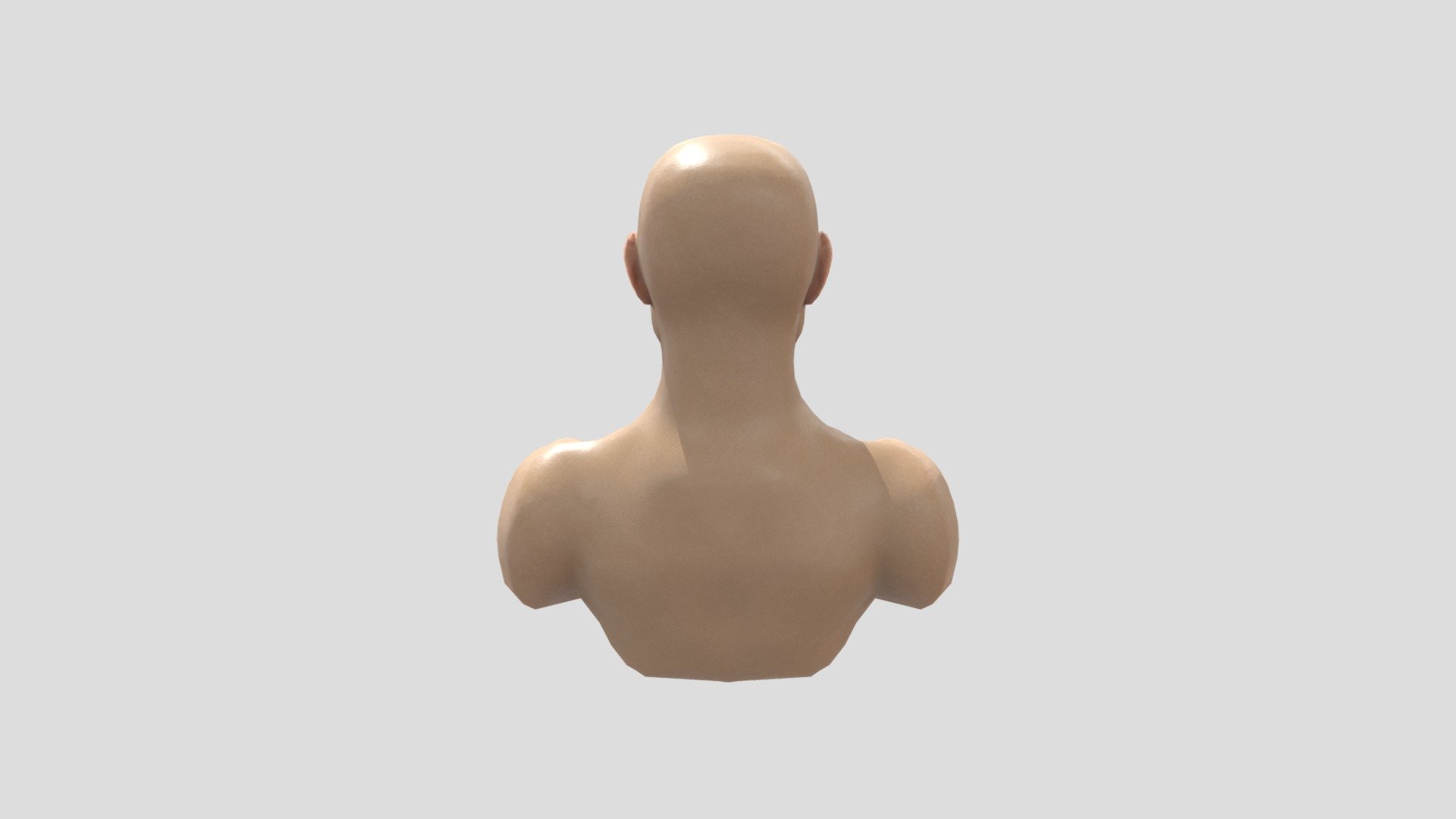 Male Head - 3D Model By Usmaan Ali