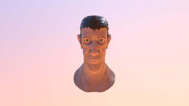 Bust_Final_Project_1st_Year 3D Model