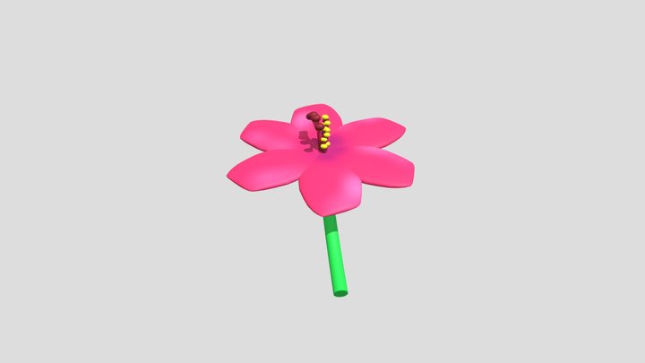 งาน 3D Model