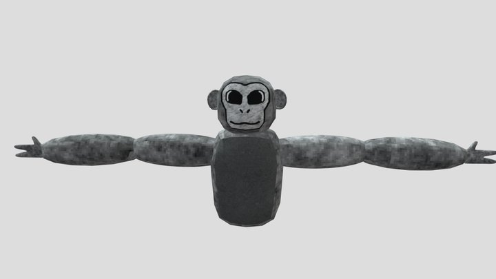 Player-model-rigged (2) 3D Model