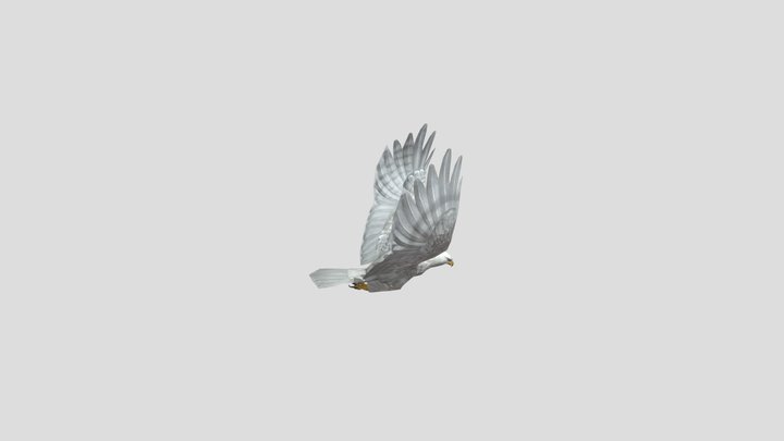 white-eagle-animation-fast-fly 3D Model