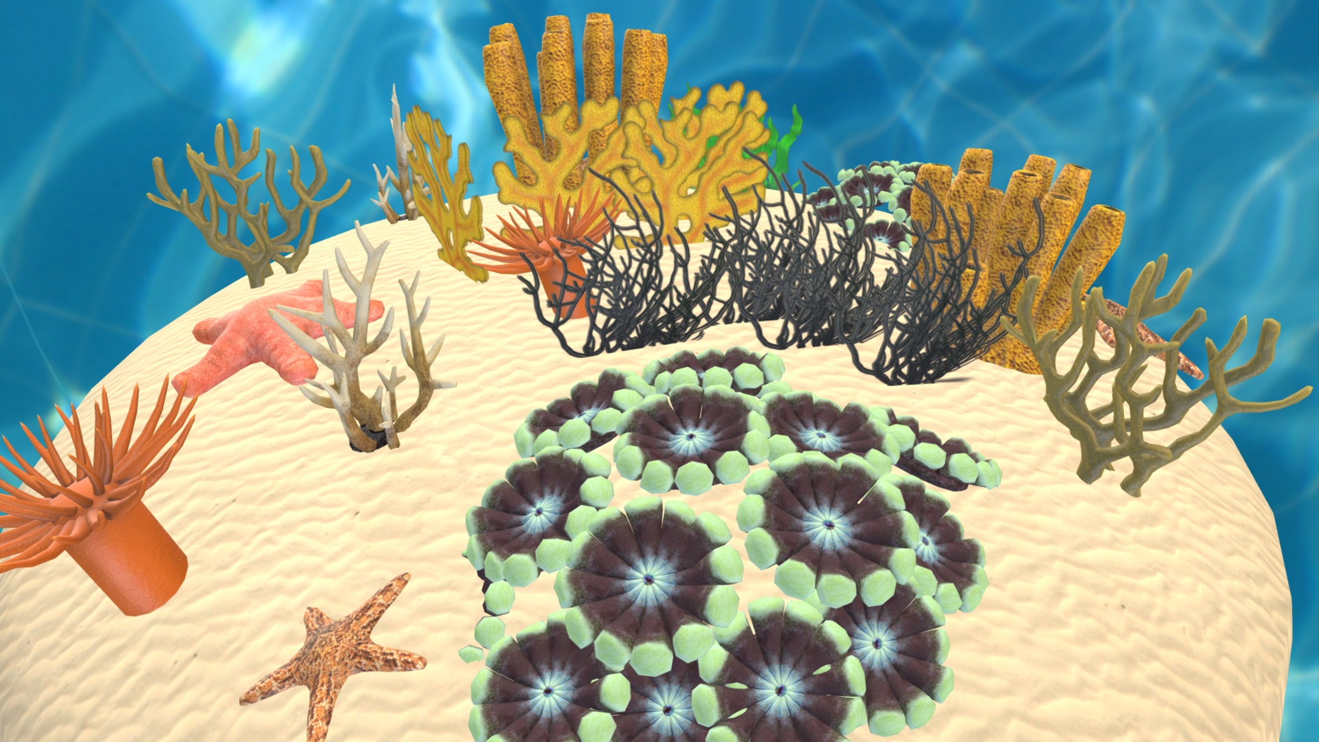 3D model Realistic corals – underwater props - This is a 3D model of the Realistic corals - underwater props. The 3D model is about a group of colorful flowers.