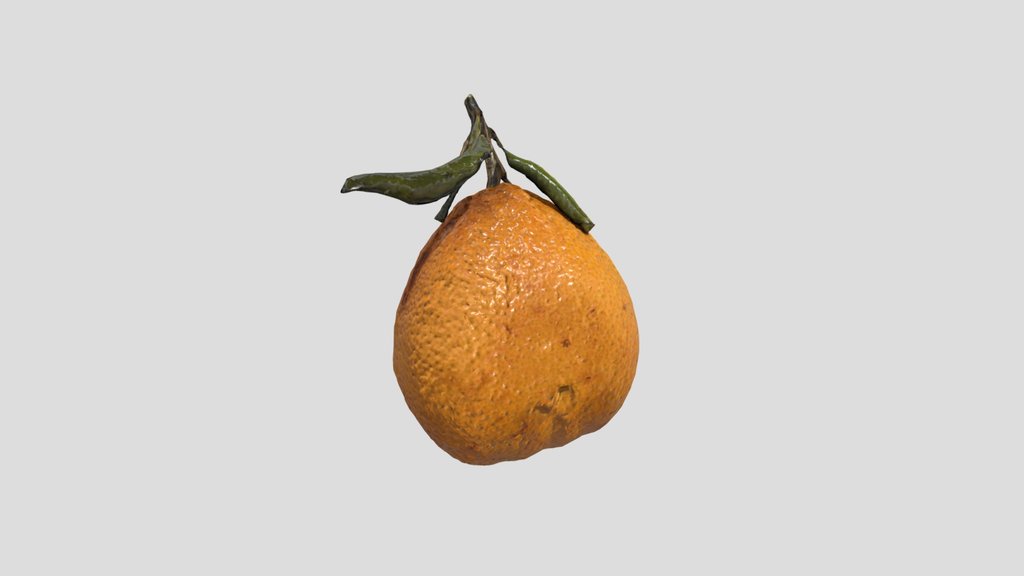 Mandarin Orange Photo Scan