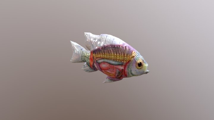 Sistem Pencernaan Ikan 3D by Oki Siwi 3D Model