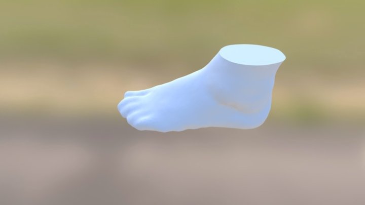 Left Foot Ready To Print