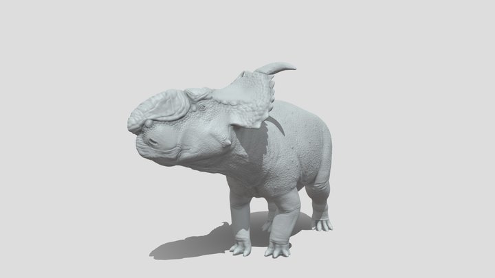 Pachyrhinosaurus perotorum 3D Model