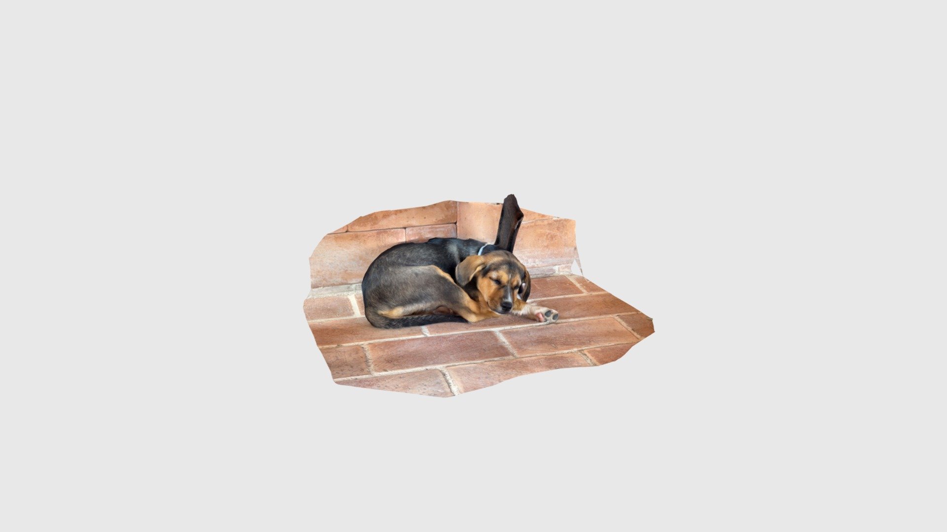 Patch - Download Free 3D model by hir_0513 [fca2d41] - Sketchfab