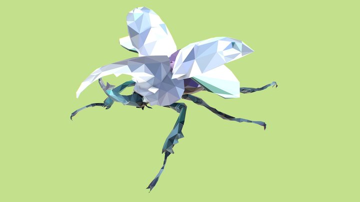 Low Poly Art Giant Beetle Rino Insect 3D Model