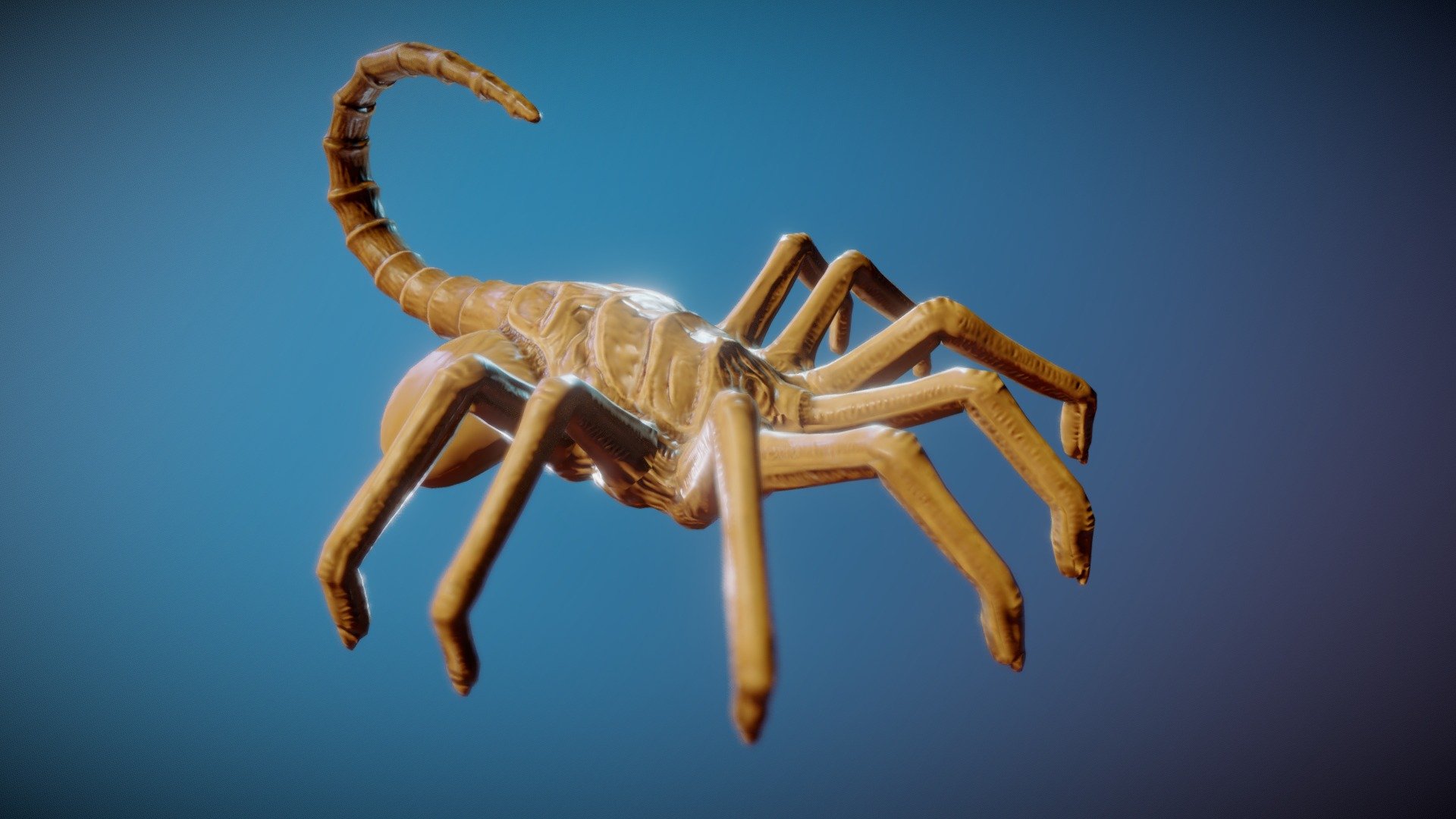Facehugger 3D model by doop [fca4820] Sketchfab