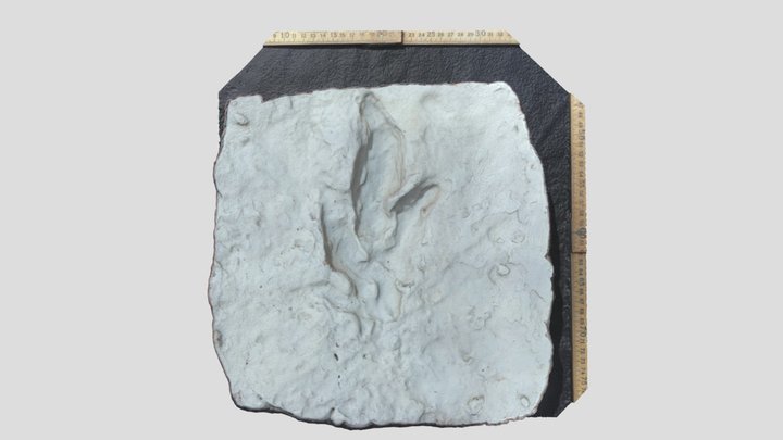 Muestra colección RICARDO 3D Model