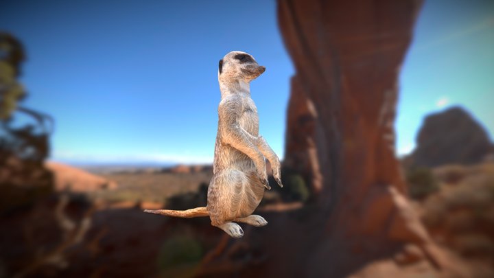 Meerkat (Smoothie-3D upload) – Free 3D Model STL