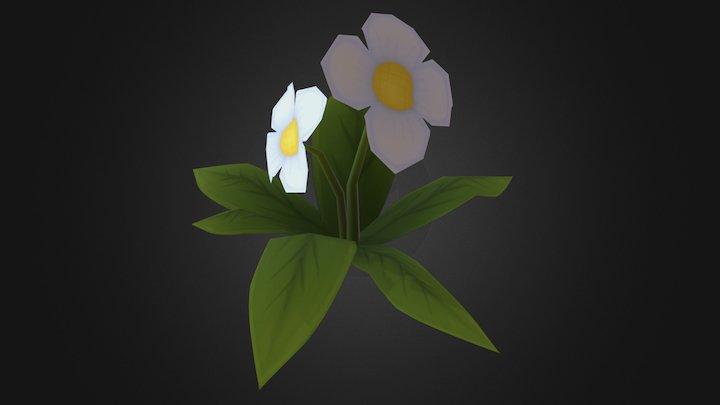 Flower 3D Model