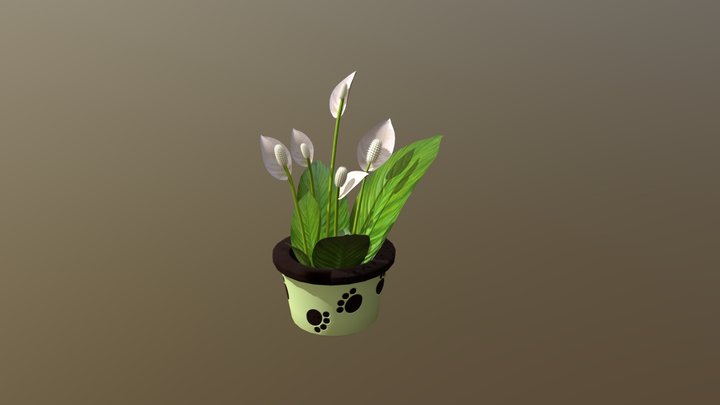 Peace Lily Assignment13 3D Model