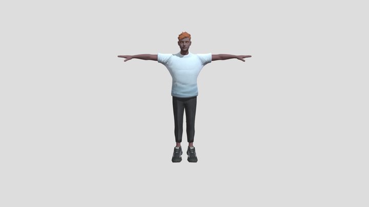 Average NPC 3D Model