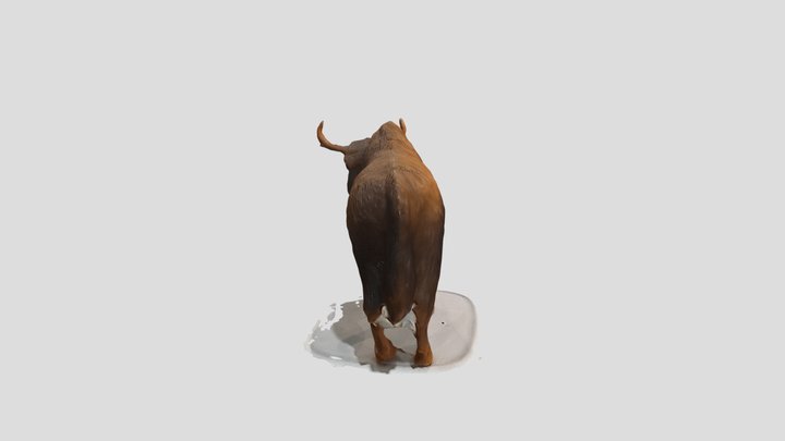 Bull 3D Model