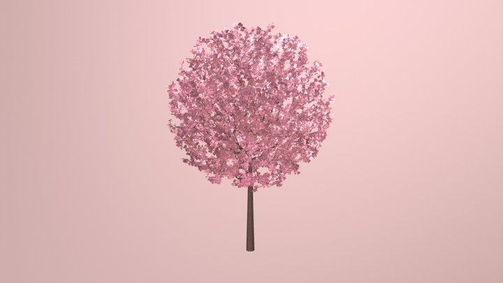 Cherry tree 3D Model