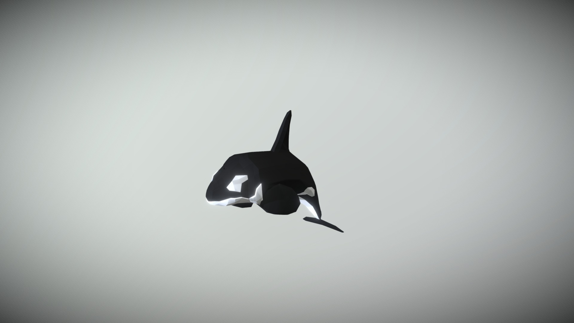 3D model LowPoly Orca - This is a 3D model of the LowPoly Orca. The 3D model is about a shark swimming in the water.