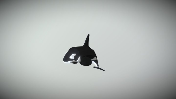 LowPoly Orca 3D Model