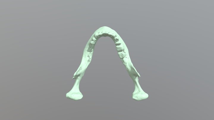 Sketchfab_2018_12_12_22_01_43 3D Model