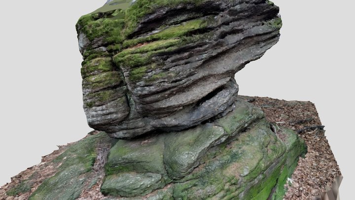 Skalny Grzyb 3D Model