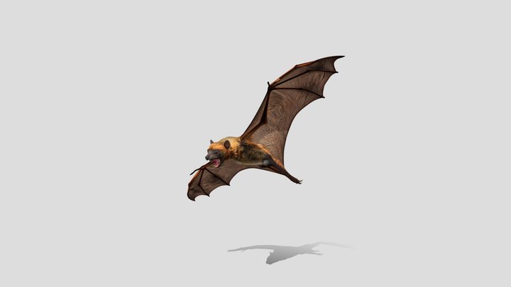 Emberwing Bat 3D Model