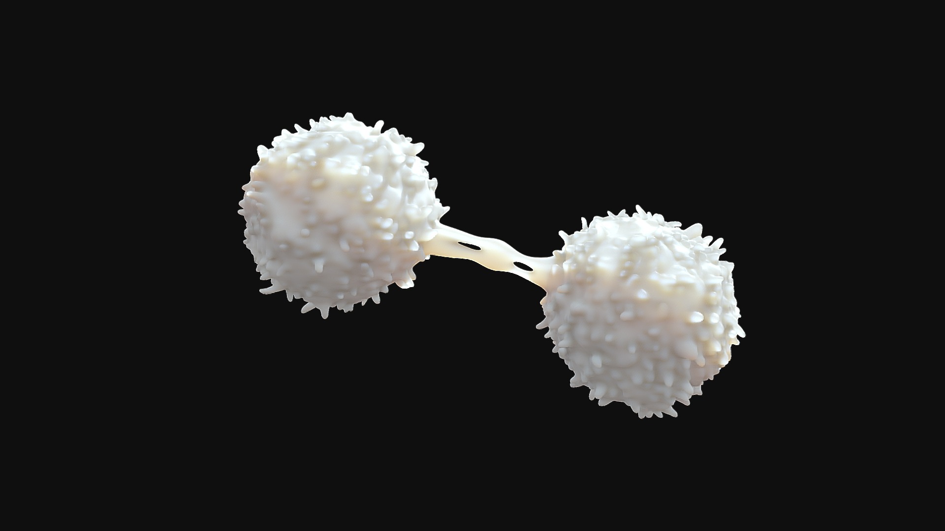 3D model Lymphocytes - This is a 3D model of the Lymphocytes. The 3D model is about a white and yellow explosion.