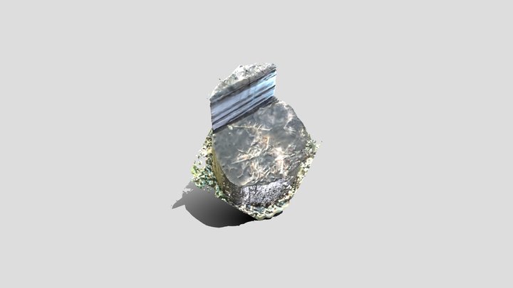 TreeSeat1 3D Model