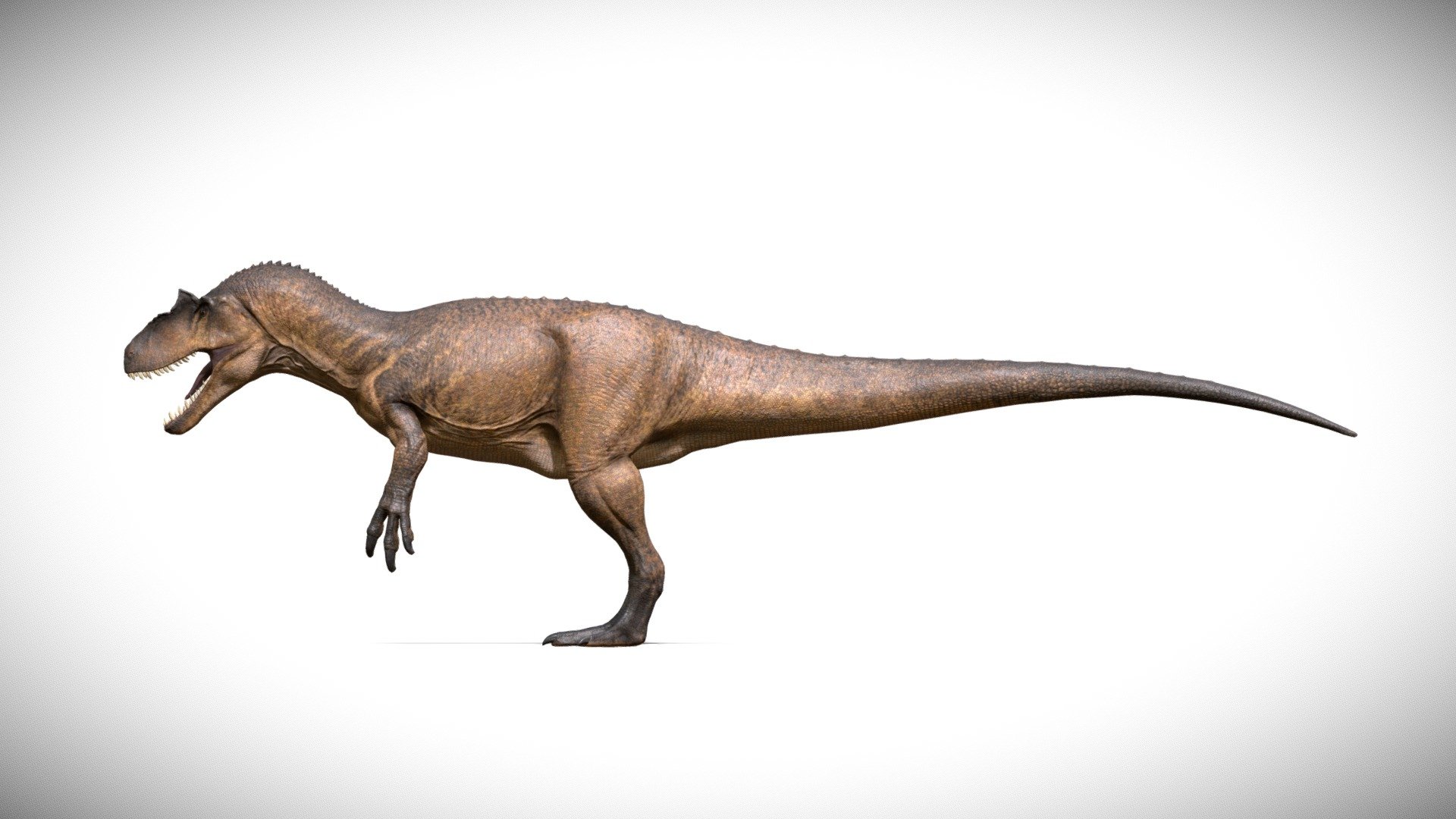 Allosaurus Fragilis - The Isle: Evrima