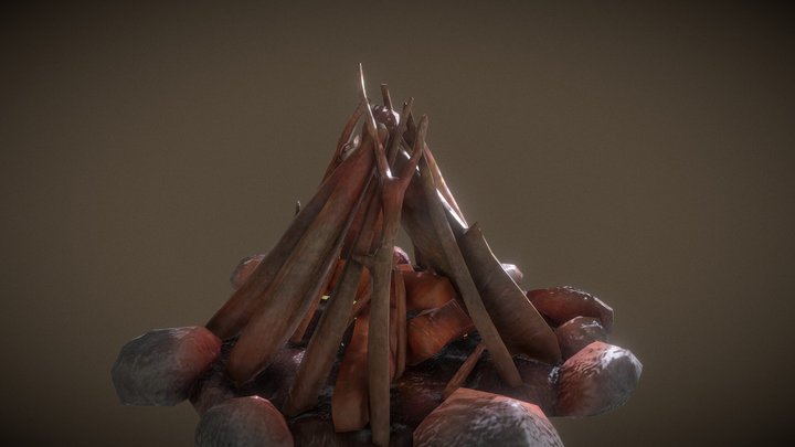 Campfire 3D Model