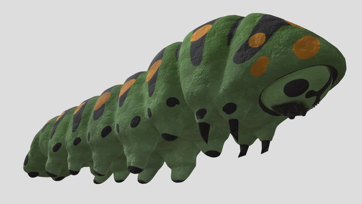 Catterpillar 3D Model