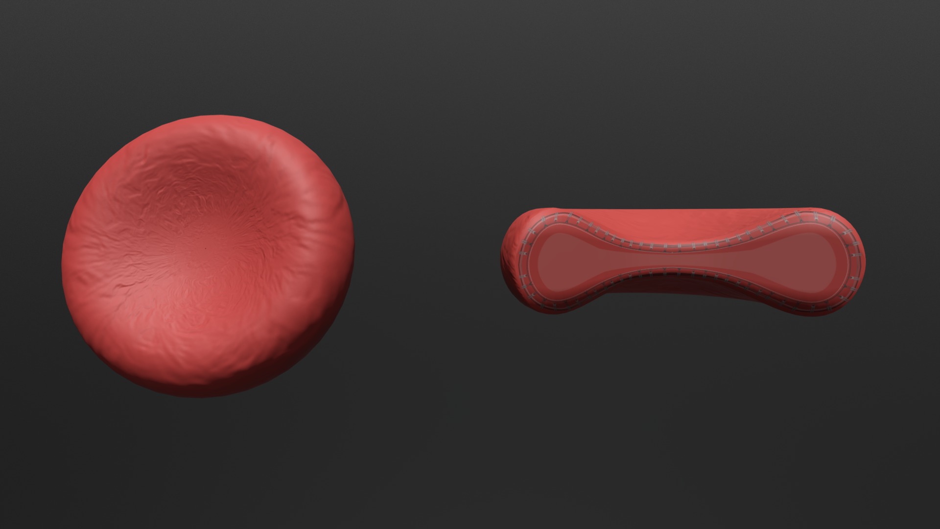 3D model Erythrocyte (Red Blood Cell) - This is a 3D model of the Erythrocyte (Red Blood Cell). The 3D model is about a red heart shaped object.