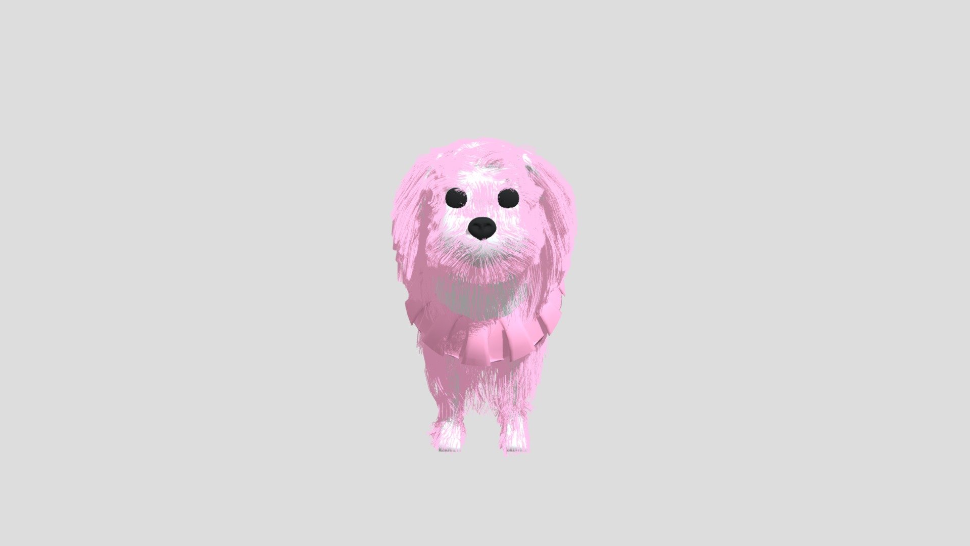maltese_hair_practice_2
