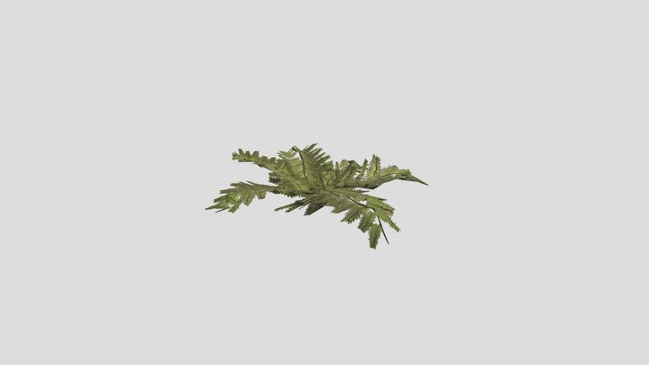 Underground Ruins - Foliage Fern 3D Model