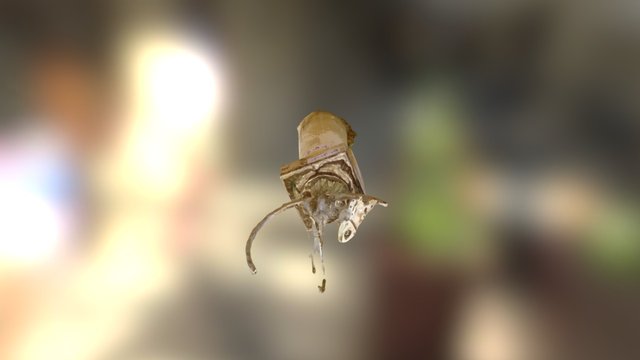 GomezandNathaniel 3D Model