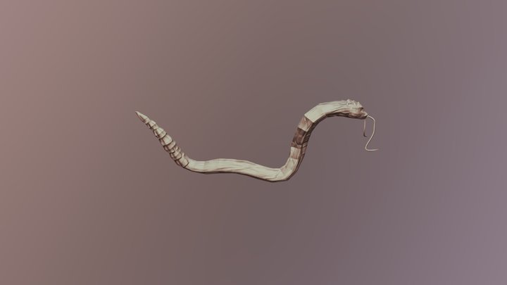 Snake Model 3D Model