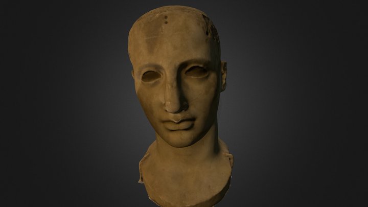 Testa di Apollo 3D Model