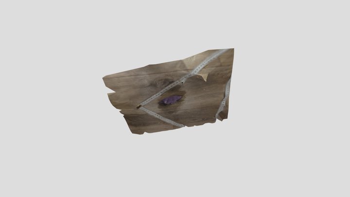 model 3D Model
