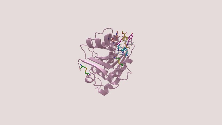 PETase hydrolysis of PET 3D Model