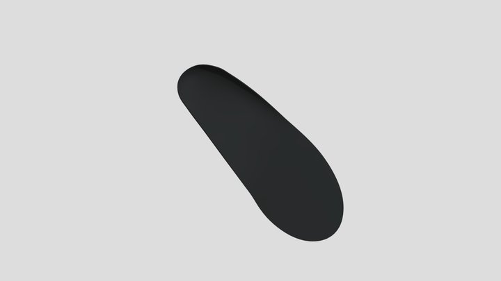 Insole 3D Model