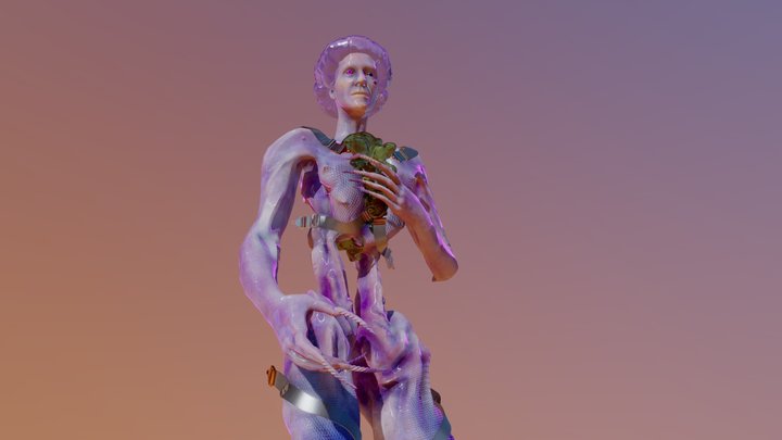 body without organs 3D Model